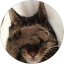 Thomas B. profile picture